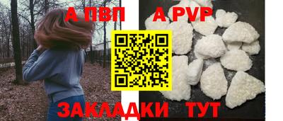 прущие грибы Заводоуковск