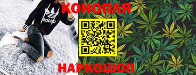 прущие грибы Заводоуковск