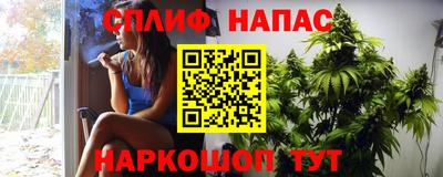 прущие грибы Заводоуковск